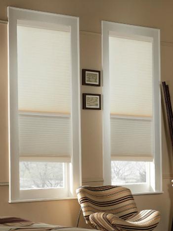 2-in-1 Day Night Cordless Cellular Shades